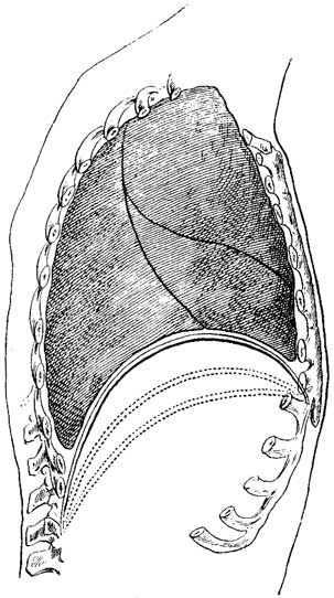 Fig. 13