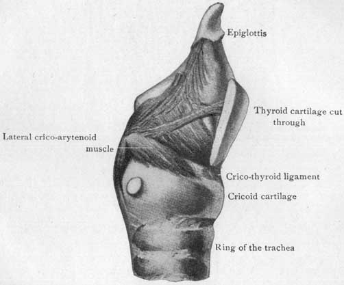 Fig. 26