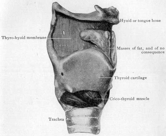 Fig. 27