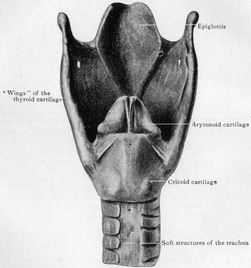 Fig. 28