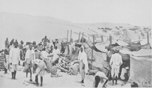 Native Market at Mersa Matruh