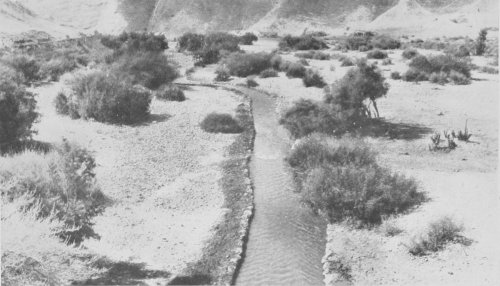 In the Jordan Valley—Wadi Auja