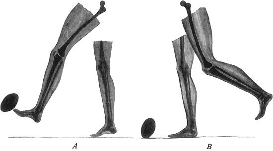 USE OF MUSCLES IN FOOTBALL