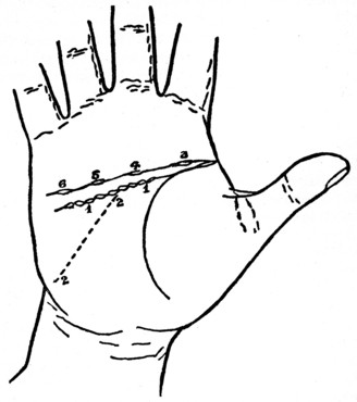 Plate IV. ISLANDS ON THE LINE OF HEAD.