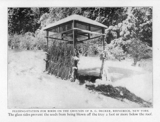 Feeding station for birds on the grounds of R. G. Decker, Rhinebeck, New York.  The glass sides prevent the seeds from being blown off the tray a foot or more below the roof.