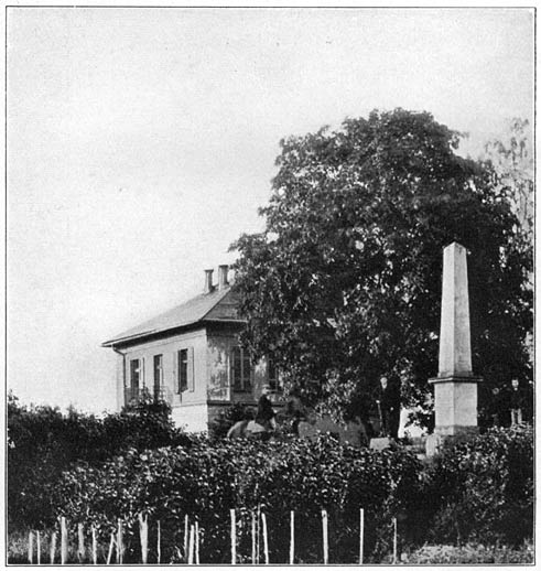 Het huis te Nieder-Ingelheim,