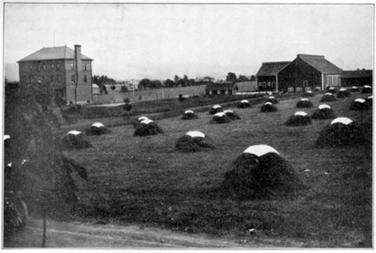 Curing alfalfa at the Pennsylvania Experiment Station.