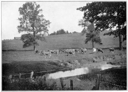 Good Pasture Land in Chester County, Pa.