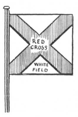 Fig. 4.—Irish Flag of St. Patrick.