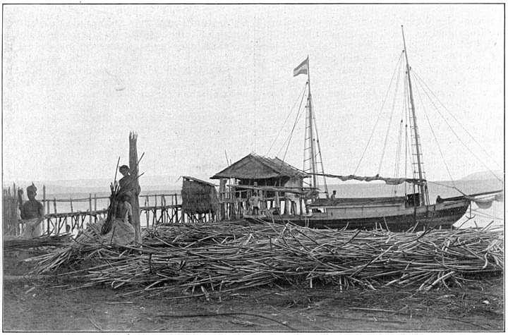 Rotan laden te Wajaboela op Morotai. (Phot. Baretta).