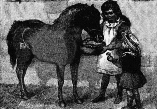 A little boy and a little girl feed a pony.