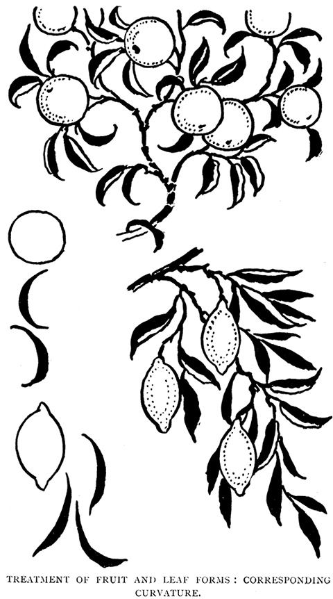 Treatment of Fruit and Leaf Forms: Corresponding Curvature