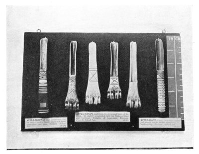 FIG. 51.—APPLE SCOOPS OF BONE.