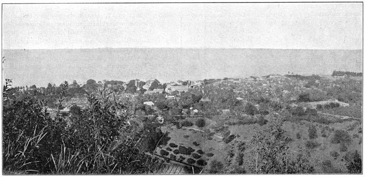 Panorama van Roseau op Dominica, met den botanischen tuin.