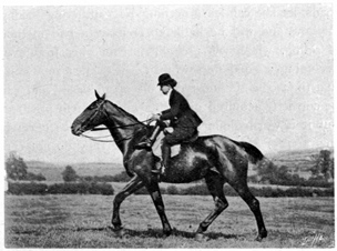 Woman riding at the trot