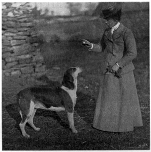 Woman with hound