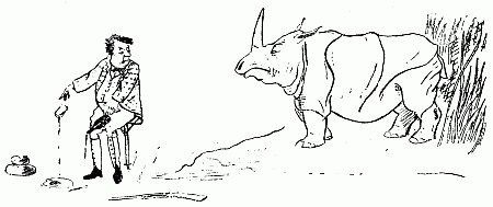 The Rhinoceros