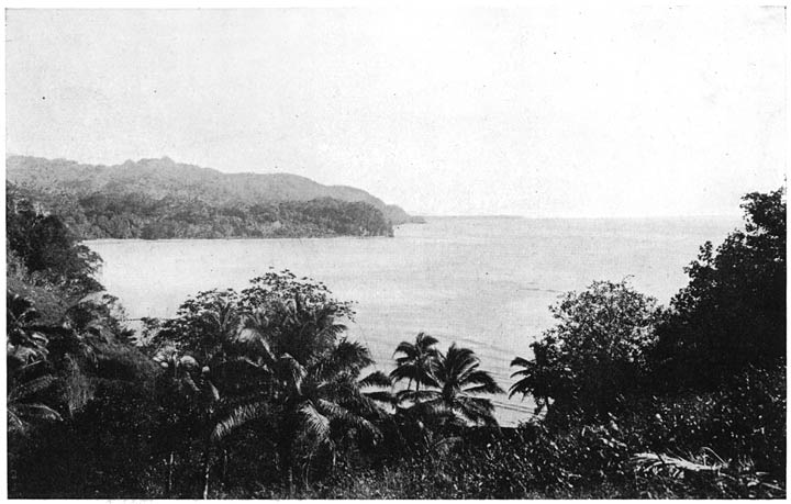 VIEW ALONG THE SHORE OF A CORAL ISLAND.