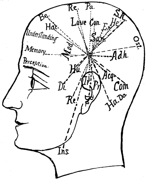 Sketch of a side view of a head. There are lines radiating from a point just above the ear.