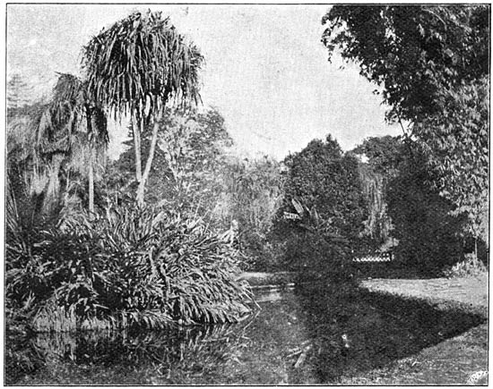 Kijkje in den Botanischen Tuin in Sydney.