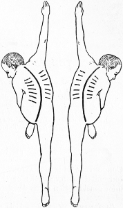 Fig. 230.—Diagram of attitudes in Klapp's four-footed exercises for Scoliosis.