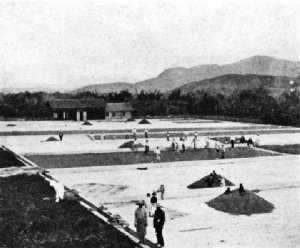 A Drying Patio on a Costa Rica Estate