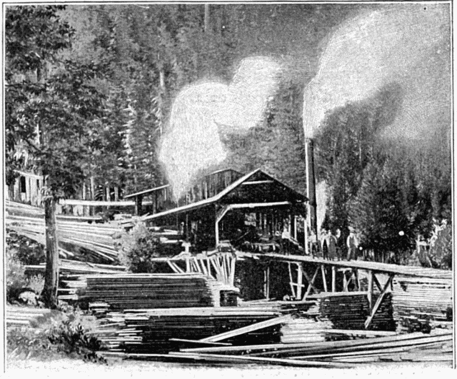 SCIERIE À DAWSON.—D'APRÈS UNE PHOTOGRAPHIE DE LA ROCHE, À SEATTLE.