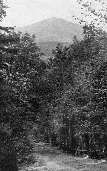 "The air is spiced with the fragrance of balsam fir ... on the way to Crawford Notch"