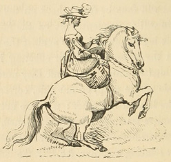 Woman mounted on rearing horse