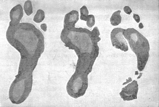 FOOTPRINTS.—(1) WHEN RUNNING. (2) STANDING. (3) WALKING.   