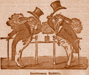 Gentlemen Rabbits.