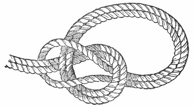 Bowline Knot