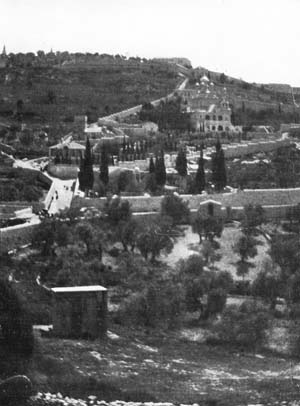 THIS ROUND-TOPPED RIDGE IS CALLED THE MOUNT OF OLIVES.