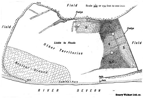 Plan of the water meadow showing the territories occupied by Lapwings in the year 1915.