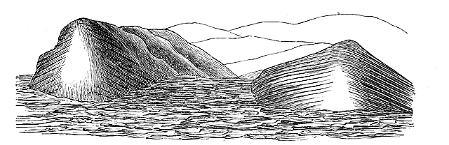 Fig. 13. Eine durchschnittartige Skizze der Banks' Cove bildenden Vorberge, um die divergirenden craterförmigen Schichten und die innere convergirende geschichtete Böschung zu zeigen. Der höchste Punkt dieser Berge ist 817 Fusz über dem Meeresspiegel.