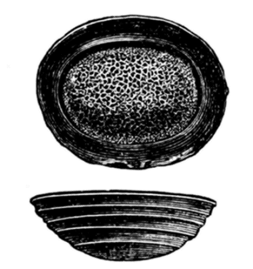 Fig. 4. Vulcanische Bombe von Obsidian aus Australien. Die obere Figur gibt eine Flächenansicht, die untere eine Seitenansicht desselben Gegenstandes.