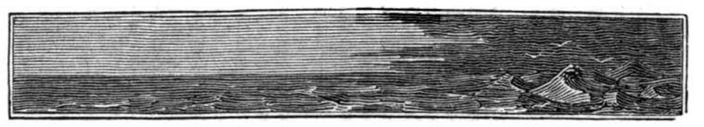 Fig. 9.