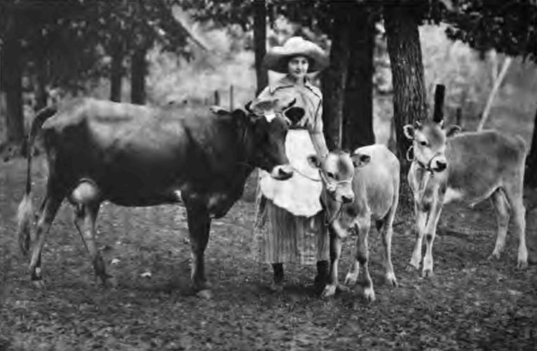 This Tennessee girl is a member of a Gardening and Canning Club. She won the cow and calves as premiums for having the best exhibit at the State Fair.