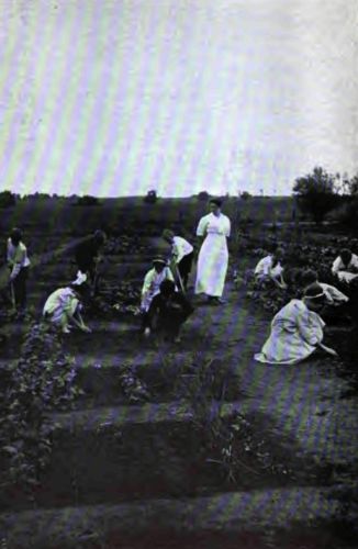 A school garden where the children are taught to love and understand the growing things as well as to cultivate them.