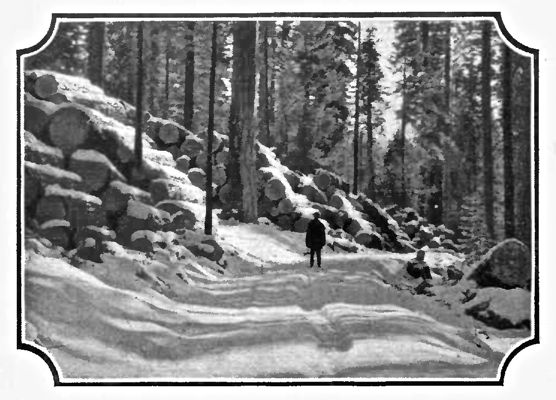 Logging Road near Westwood, California. White Pine and Old Fashioned Winters made Paul Bunyan feel at home.