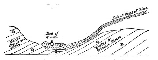 Recent excavation of lava.