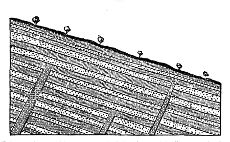 Dikes as they would now appear had they been originally perpendicular.