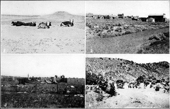 1. Cattle on Nevada Desert. 2. Deserted Mining Town in Nevada. 3. Mining town Cemetery in Nevada. 4. In the Nevada Desert.