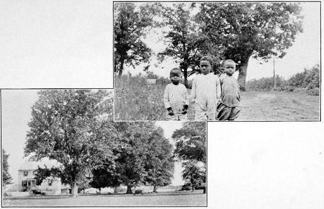 1. Three Young Virginians. 2. An Old Homestead on Tidewater, Va.