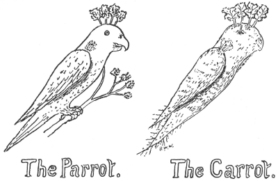 The Parrot. The Carrot.