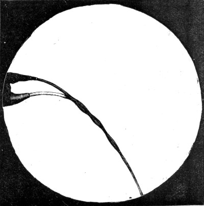 Fig. 45.