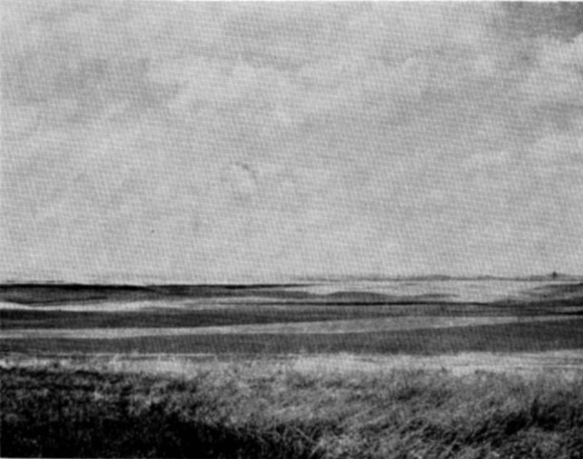 Fig. 8. Farm land in northeastern part of Harding County.