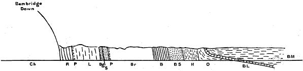 Coast Section, Whitecliff Bay.