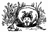 Fig. 119.—Peep-oh! Pixie!