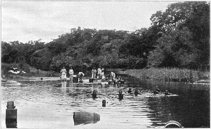 De Cropinakreek bij Paramaribo.